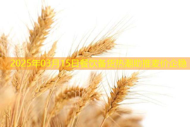 2025年03月15日餐饮备货热潮助推麦价企稳