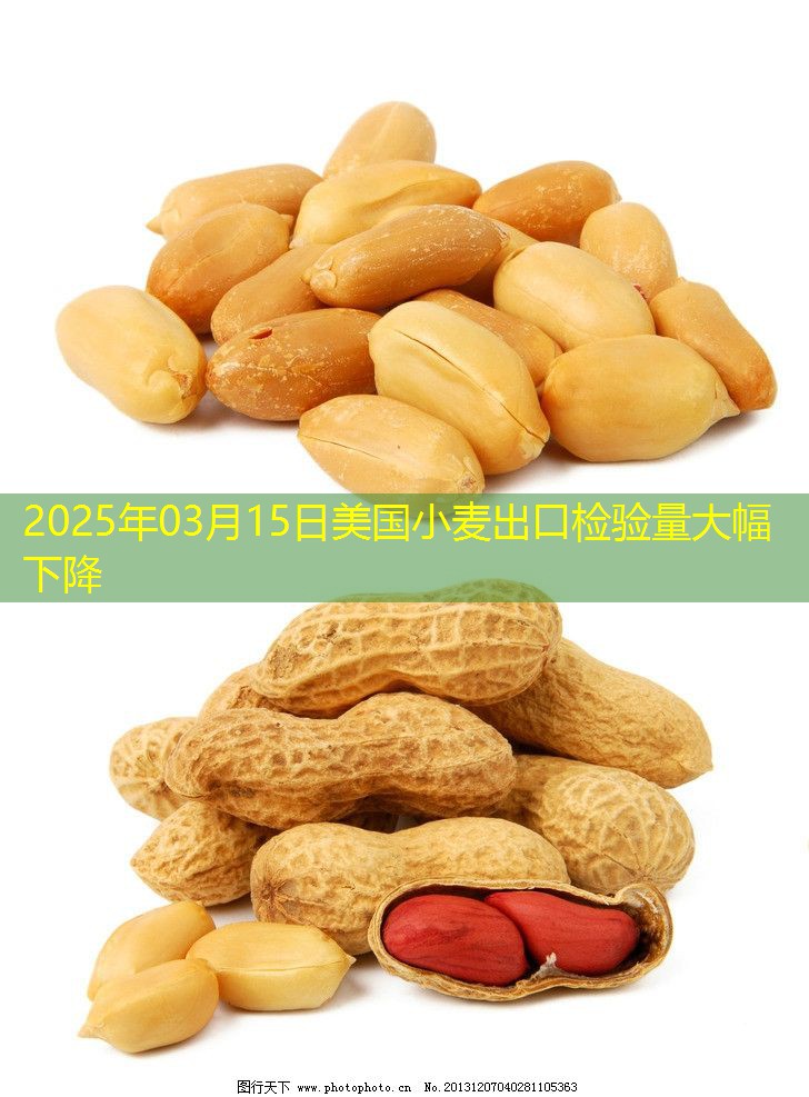 2025年03月15日美国小麦出口检验量大幅下降