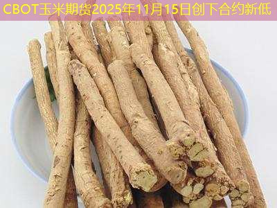 CBOT玉米期货2025年11月15日创下合约新低