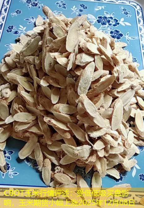 CBOT玉米行情评述：受低低吸买盘影响，玉米期货小幅上涨2025年12月08日