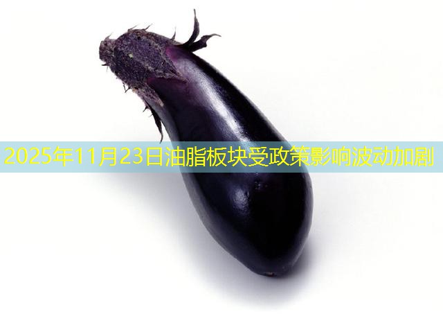 2025年11月23日油脂板块受政策影响波动加剧