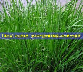 【高交会】农业部官员：解决农产品质量问题难以成为最优先目标