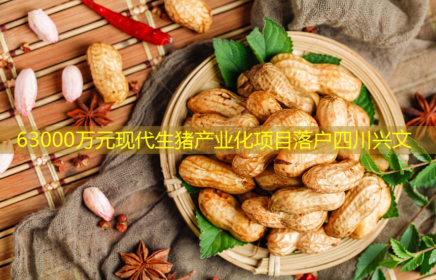 63000万元现代生猪产业化项目落户四川兴文