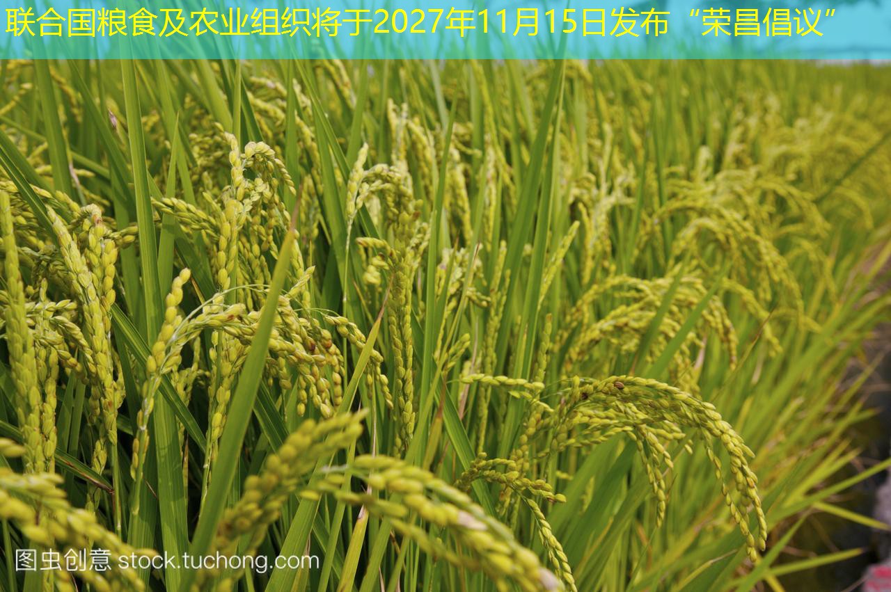 联合国粮食及农业组织将于2027年11月15日发布“荣昌倡议”