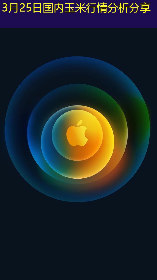 3月25日国内玉米行情分析分享