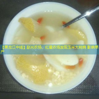 【黑龙江中线】赵光农场、红星农场发现玉米大斑病 影响单产