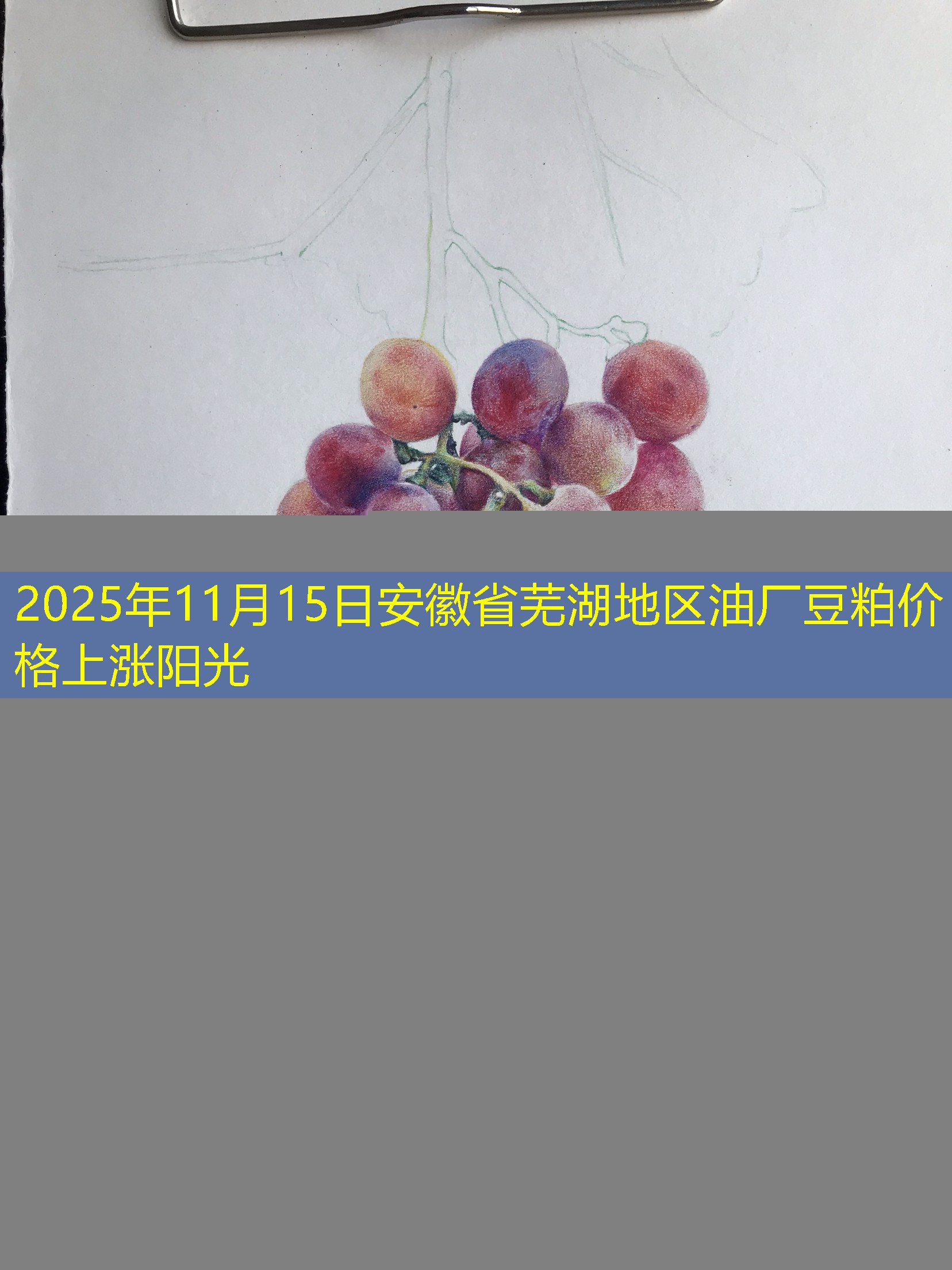 2025年11月15日安徽省芜湖地区油厂豆粕价格上涨阳光