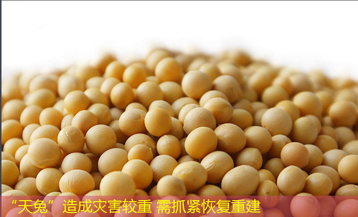 “天兔”造成灾害较重 需抓紧恢复重建