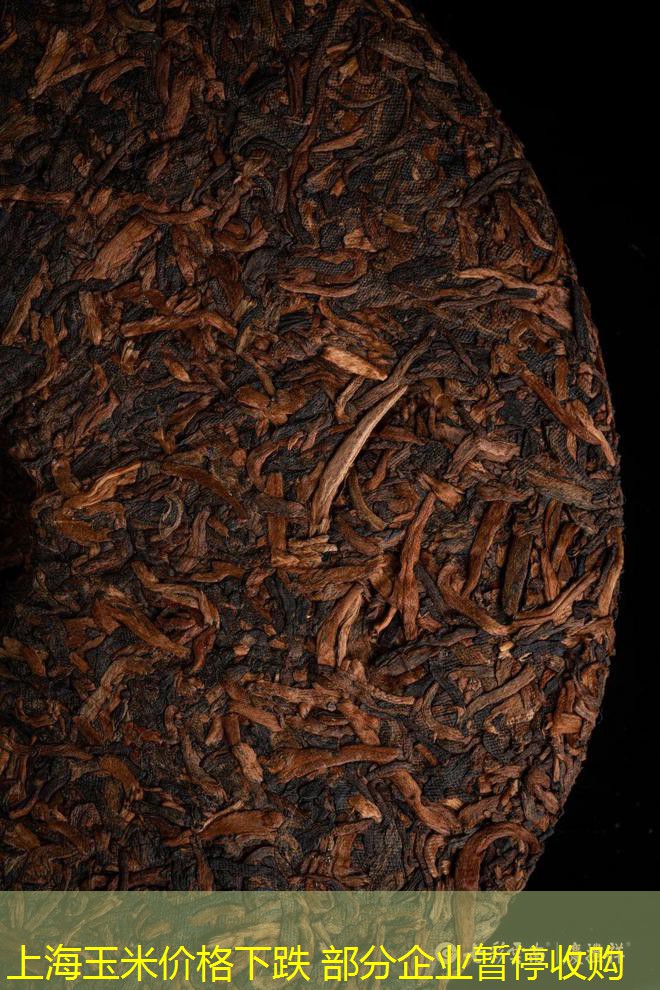 上海玉米价格下跌 部分企业暂停收购
