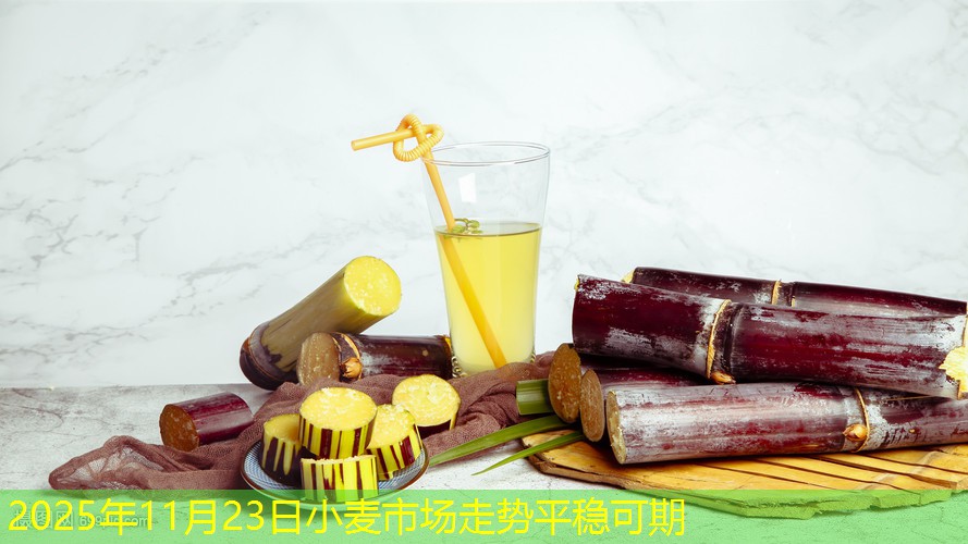 2025年11月23日小麦市场走势平稳可期
