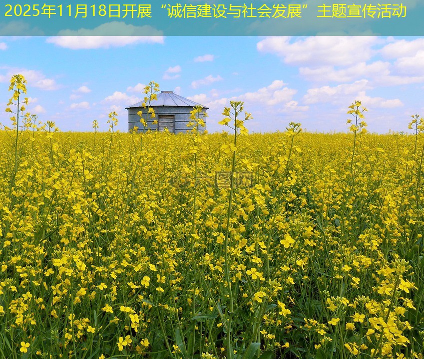 2025年11月18日开展“诚信建设与社会发展”主题宣传活动
