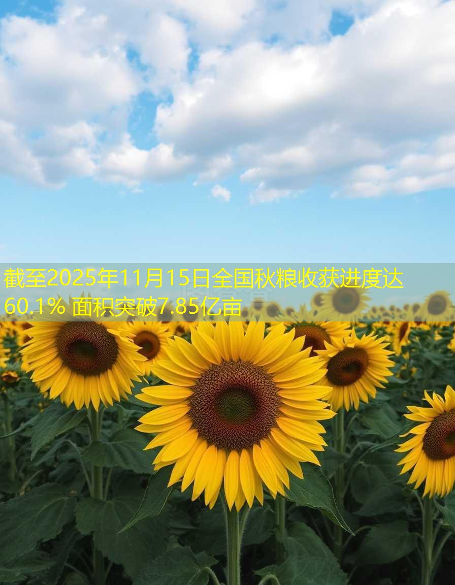 截至2025年11月15日全国秋粮收获进度达60.1% 面积突破7.85亿亩