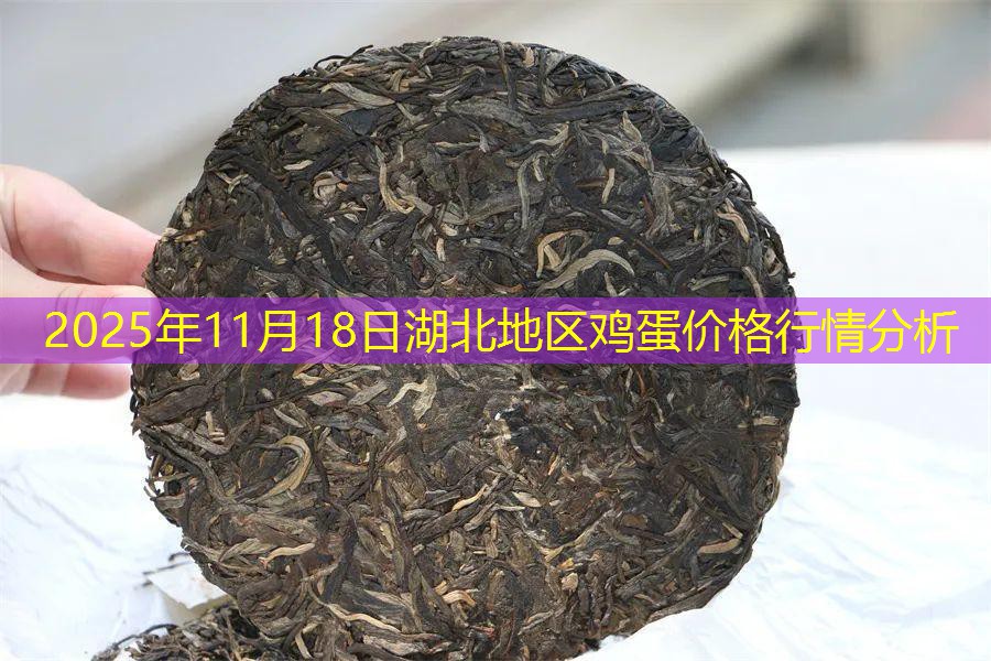 2025年11月18日湖北地区鸡蛋价格行情分析