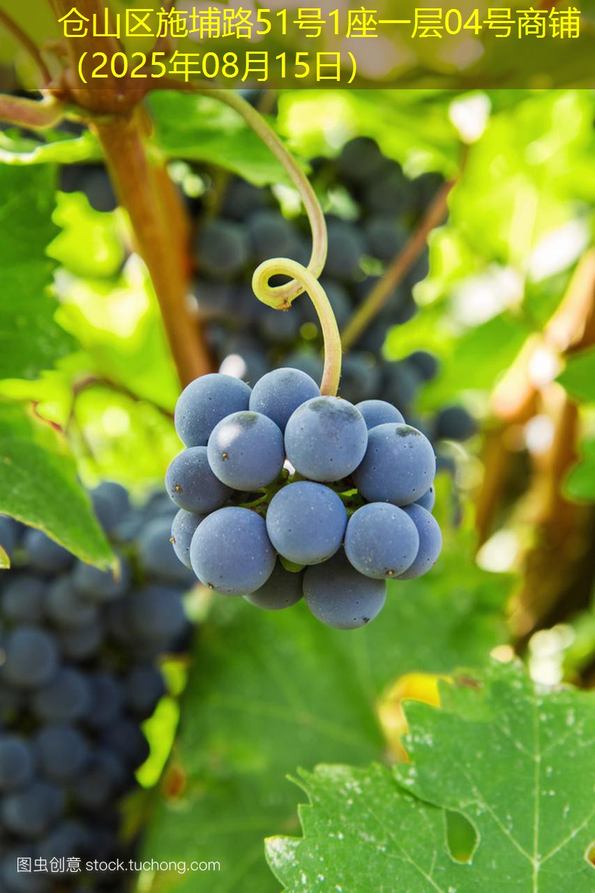 仓山区施埔路51号1座一层04号商铺（2025年08月15日）