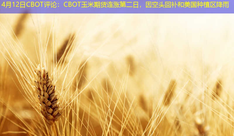 4月12日CBOT评论：CBOT玉米期货连涨第二日，因空头回补和美国种植区降雨