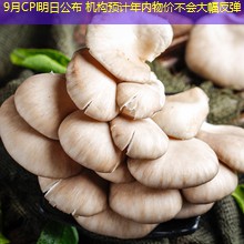 9月CPI明日公布 机构预计年内物价不会大幅反弹