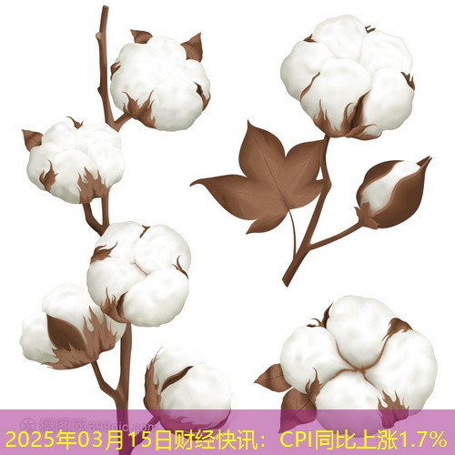 2025年03月15日财经快讯：CPI同比上涨1.7%