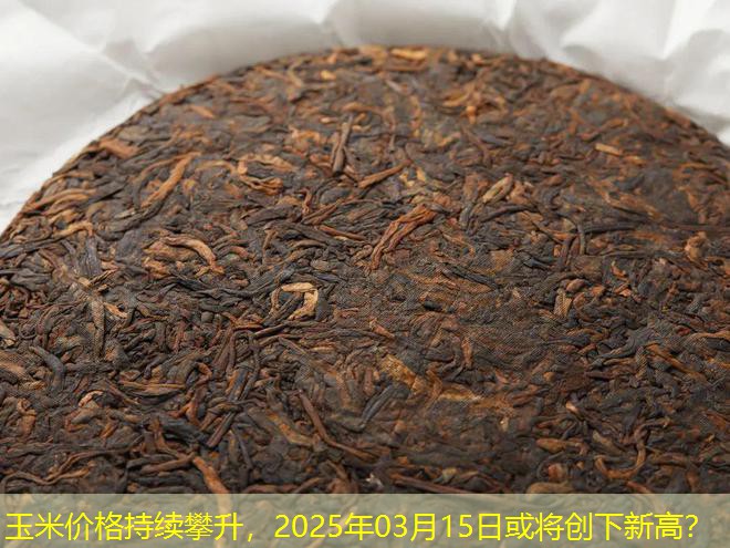 玉米价格持续攀升，2025年03月15日或将创下新高？