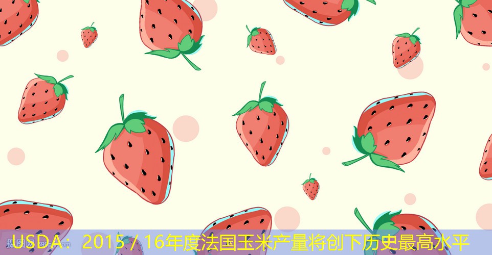 USDA：2015／16年度法国玉米产量将创下历史最高水平