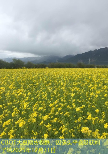CBOT大豆期货收跌，因多头平仓及获利了结2025年12月31日