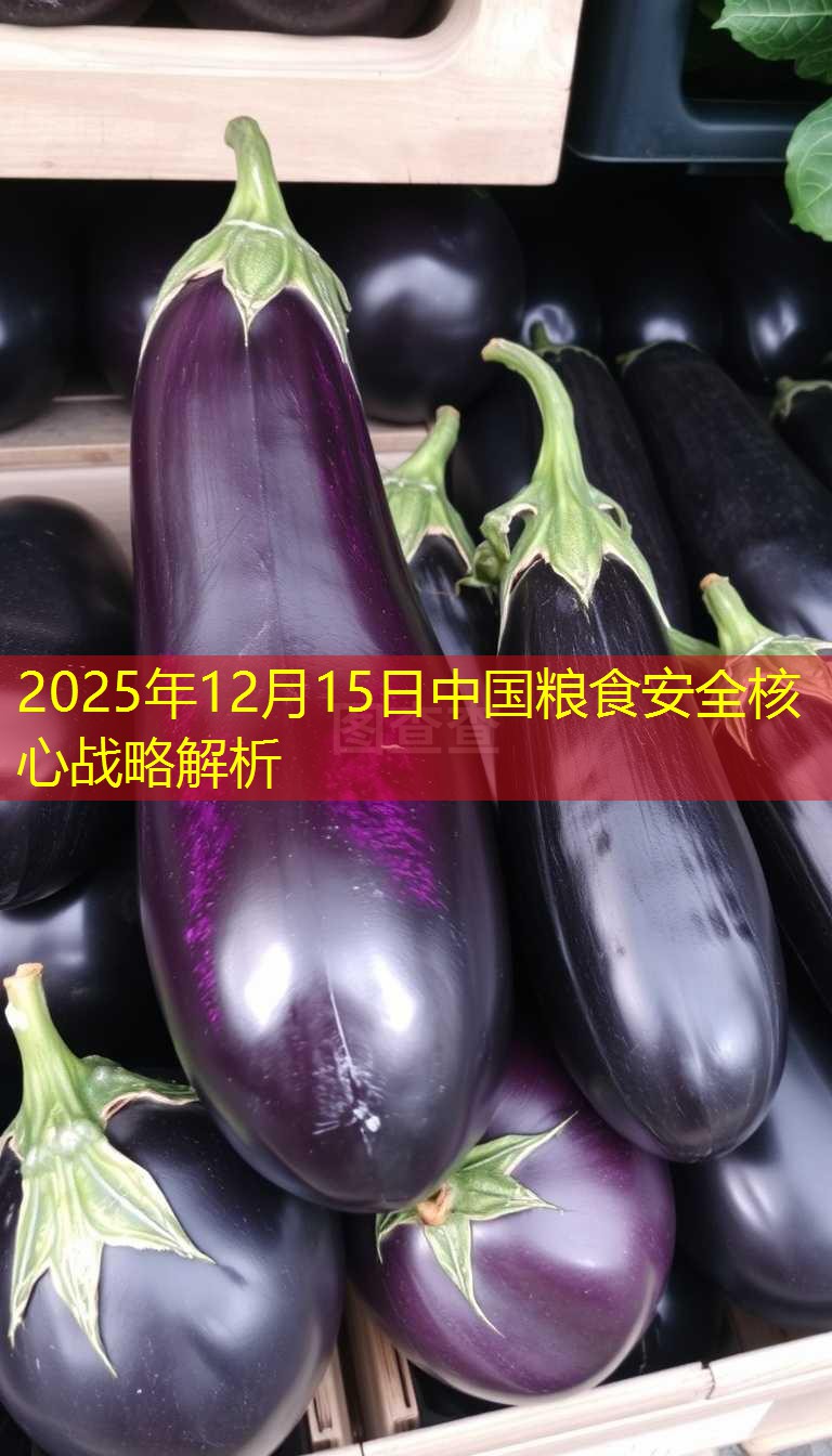 2025年12月15日中国粮食安全核心战略解析