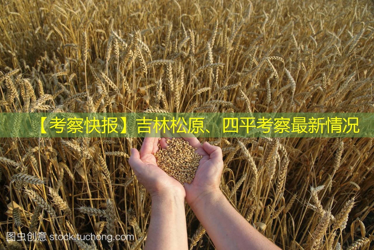 【考察快报】吉林松原、四平考察最新情况