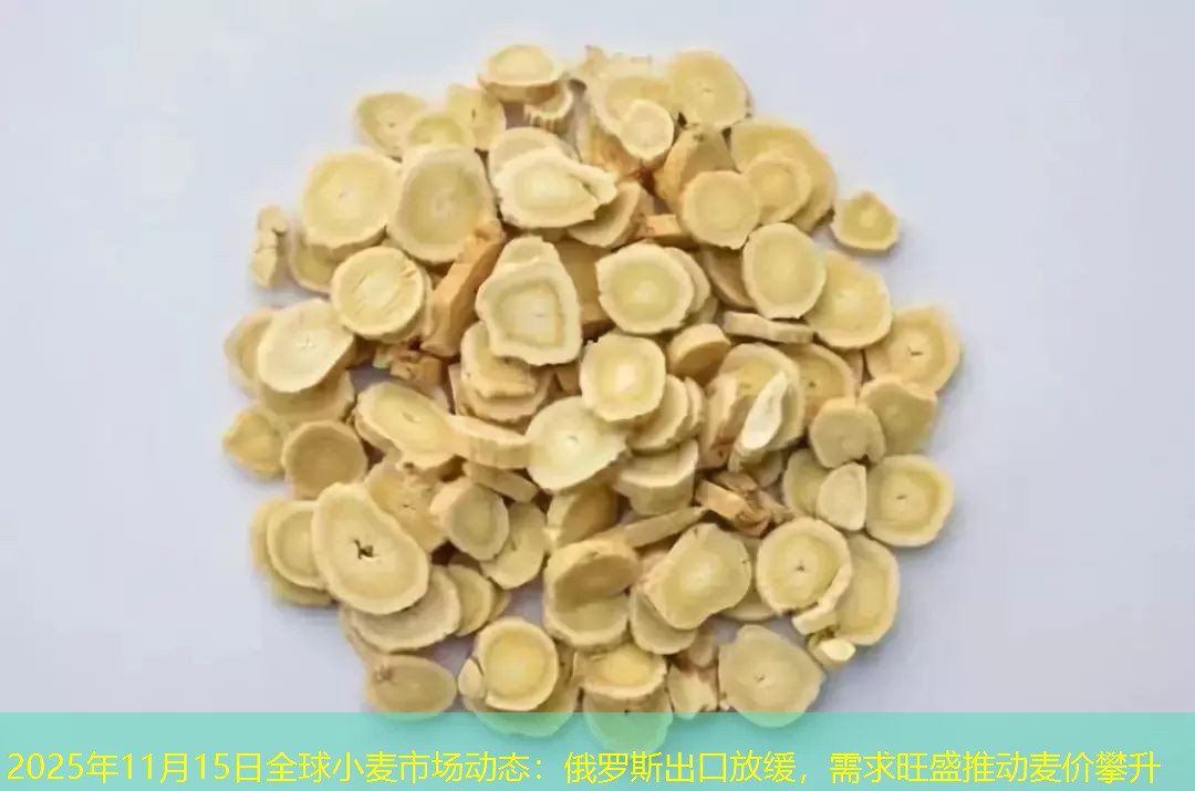 2025年11月15日全球小麦市场动态：俄罗斯出口放缓，需求旺盛推动麦价攀升