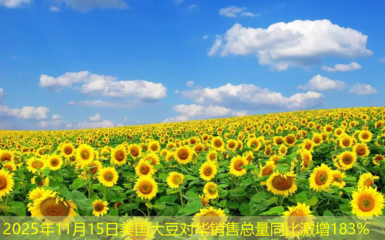 2025年11月15日美国大豆对华销售总量同比激增183%
