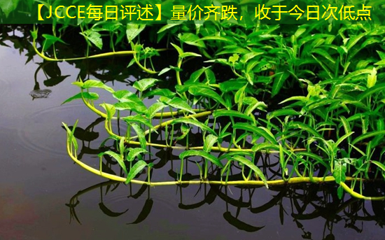 【JCCE每日评述】量价齐跌，收于今日次低点