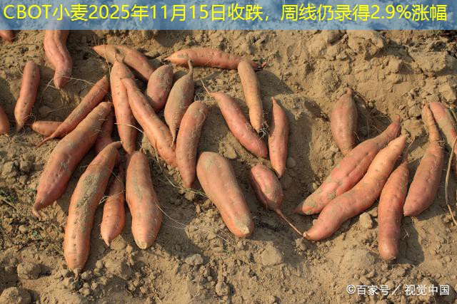 CBOT小麦2025年11月15日收跌，周线仍录得2.9%涨幅