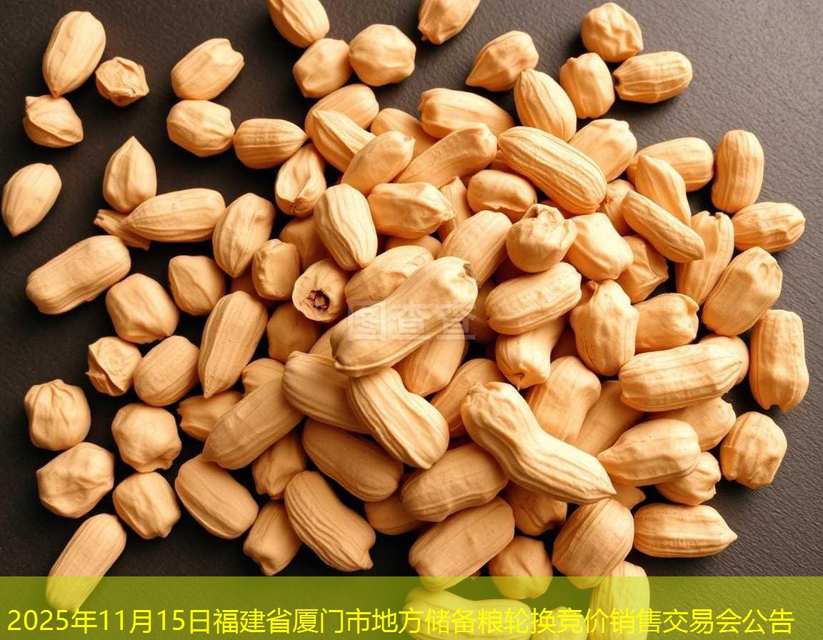 2025年11月15日福建省厦门市地方储备粮轮换竞价销售交易会公告
