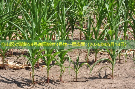 仓山区对湖路58号逸园新村3号楼一层店面（2026年05月18日）