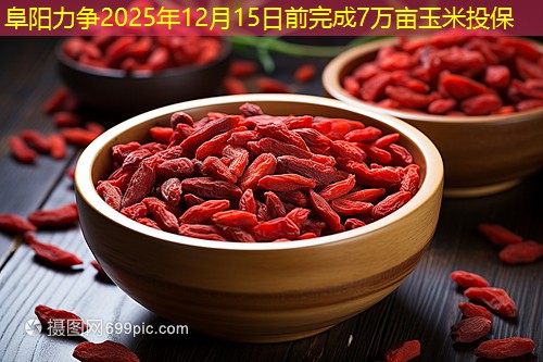 阜阳力争2025年12月15日前完成7万亩玉米投保