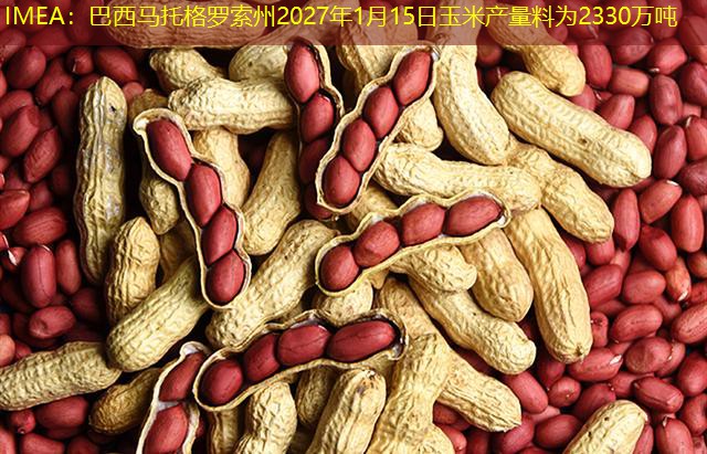 IMEA：巴西马托格罗索州2027年1月15日玉米产量料为2330万吨