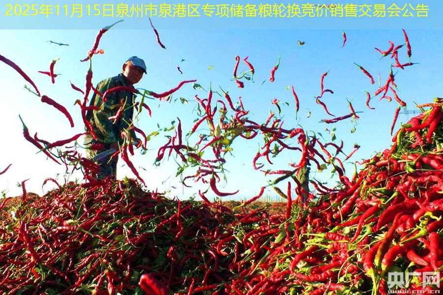 2025年11月15日泉州市泉港区专项储备粮轮换竞价销售交易会公告