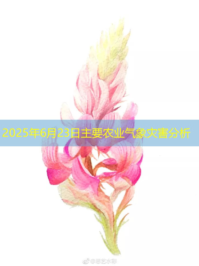 2025年6月23日主要农业气象灾害分析