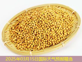 2025年03月15日国际天气预报精选