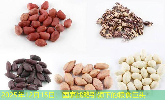 2025年12月15日：国家战略引领下的粮食巨头