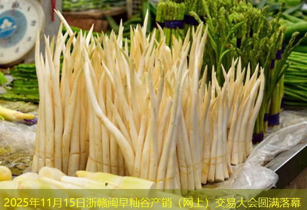 2025年11月15日浙赣闽早籼谷产销（网上）交易大会圆满落幕