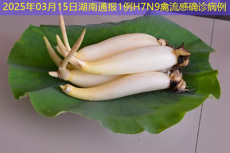 2025年03月15日湖南通报1例H7N9禽流感确诊病例