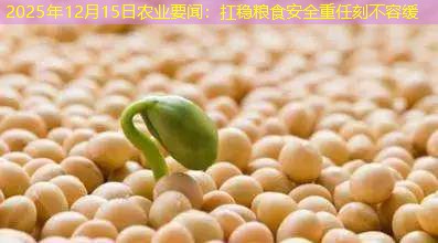 2025年12月15日农业要闻：扛稳粮食安全重任刻不容缓
