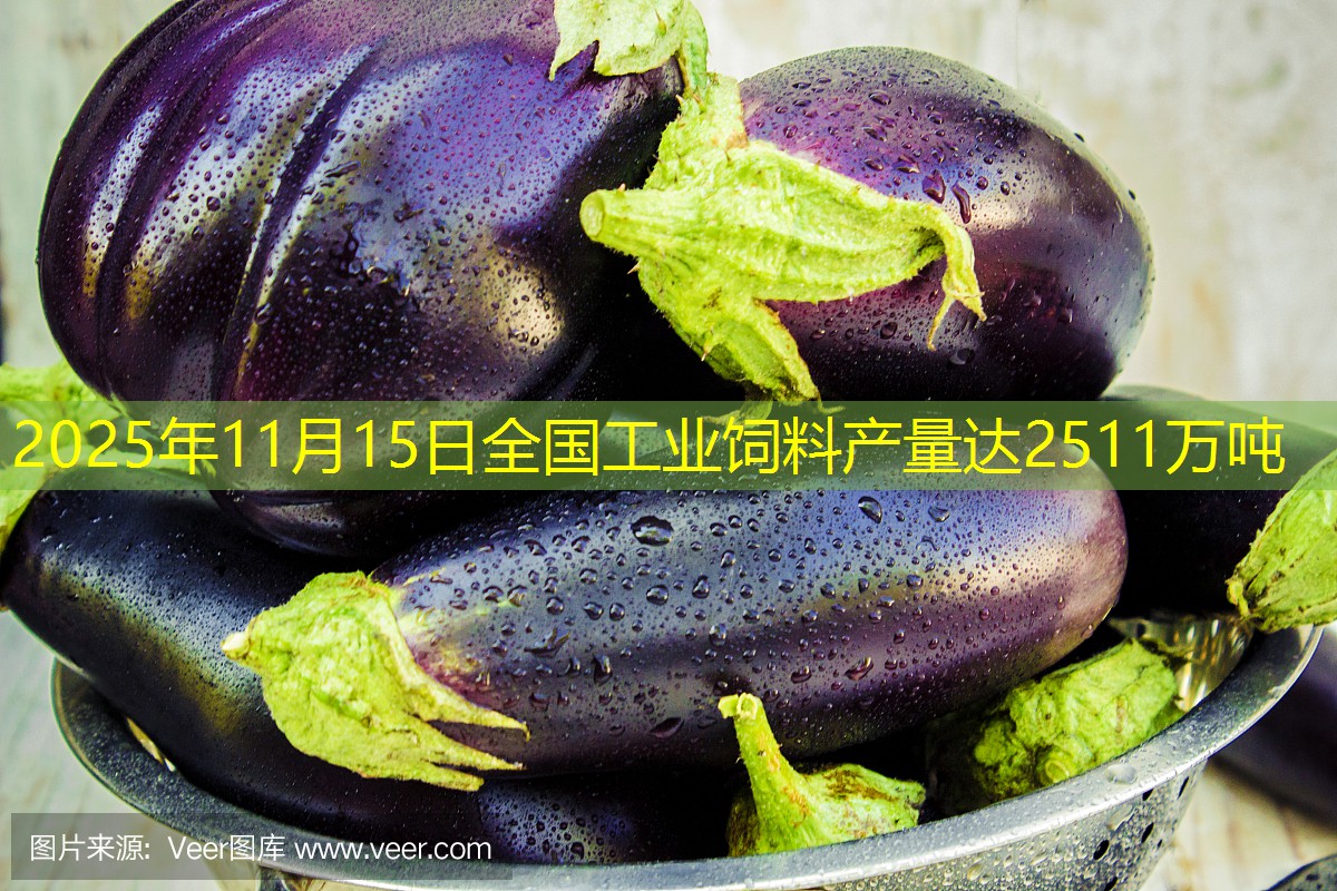 2025年11月15日全国工业饲料产量达2511万吨