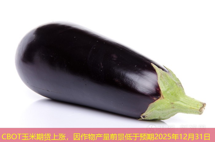 CBOT玉米期货上涨，因作物产量前景低于预期2025年12月31日