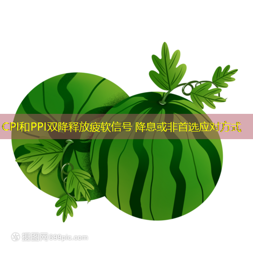 CPI和PPI双降释放疲软信号 降息或非首选应对方式