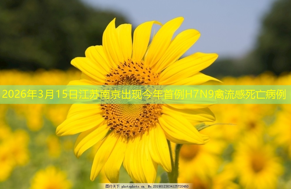 2026年3月15日江苏南京出现今年首例H7N9禽流感死亡病例