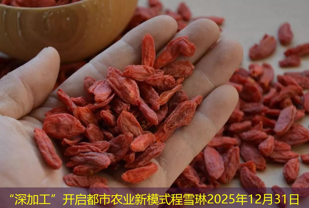 “深加工”开启都市农业新模式程雪琳2025年12月31日