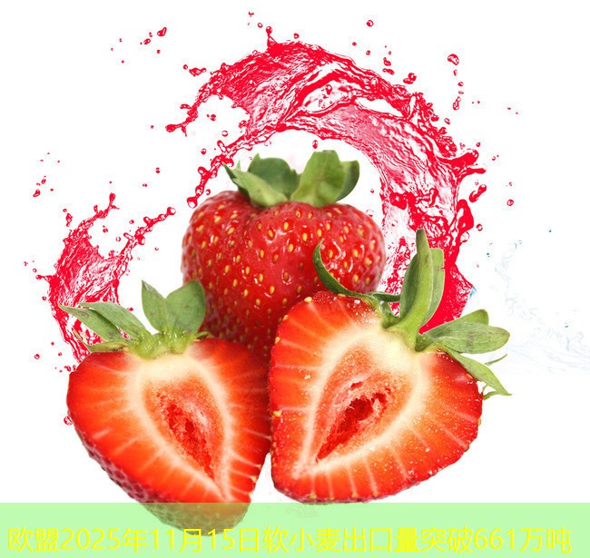 欧盟2025年11月15日软小麦出口量突破661万吨