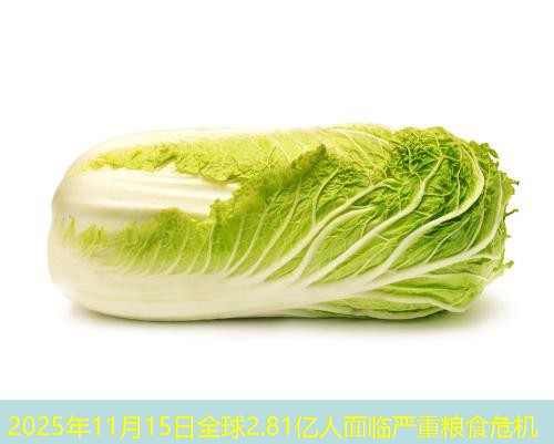 2025年11月15日全球2.81亿人面临严重粮食危机