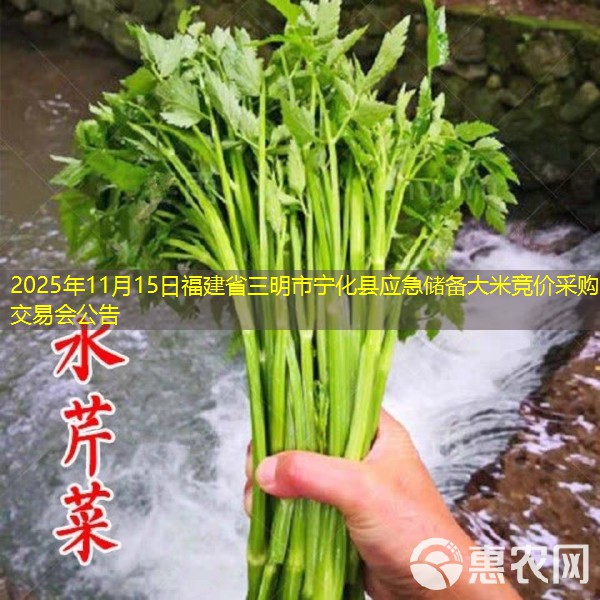 2025年11月15日福建省三明市宁化县应急储备大米竞价采购交易会公告