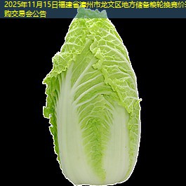 2025年11月15日福建省漳州市龙文区地方储备粮轮换竞价采购交易会公告